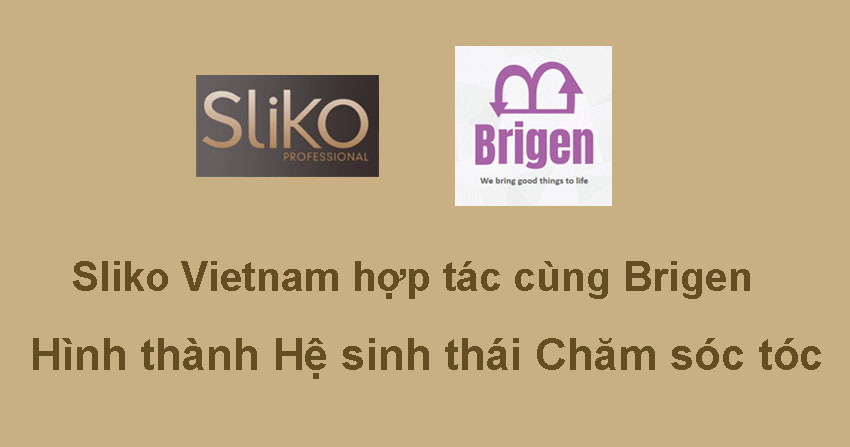 Sliko Vietnam hợp tác cùng Brigen